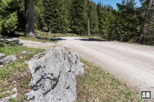 Von der Oberen Firstalm wandern wir über den planierten Trautweinweg zurück zum Spitzingsattel.