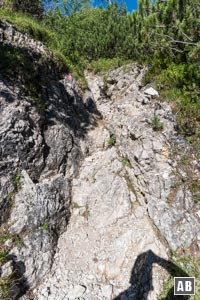 Die zahlreichen Serpentinen hoch zum Kaufbeurer Haus beinhalten kurze schrofige Passagen