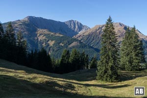 Im Rücken baut sich langsam Grubigstein, Gartnerwand und Bleispitze auf