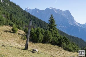 Aussicht vom Grünen Ups auf die Felsmauern der Zugspitze