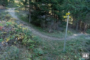 Weiter oben mündet von rechts ein alternativer Zustieg vom Lermooser Bahnhof ein