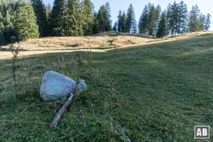 Wir wandern ans obere Ende der Lichtung