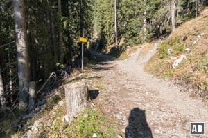 Der Anschlussweg von der Tuftlalm zum Grünen Ups erfolgt auf einem steinigen Weg - später nach rechts hoch in den Wald.