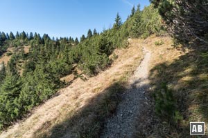 ...und über den <q>Alpenrosenweg</q> in einer langen Geraden...