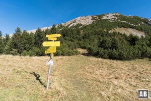 Am Grünen Ups schickt uns ein Wegweiser in den Gipfelaufbau der Upsspitze