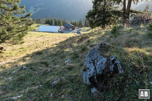 ...endet im freien Terrain der Tuftlalm. Von hier auf bekanntem Weg zurück nach Lermoos.