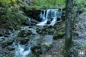 Wunderschöne Wasserkaskaden am Gaisalptobelweg