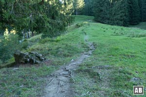 Der Wanderweg verjüngt sich, zieht zum oberen Ende der Weidefläche