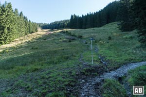 Nach einer Forstpassage öffnet sich die Bucht der Drehersalpe