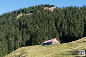 In einem Bogen zur (schon von weitem sichtbaren) Almhütte vorrücken