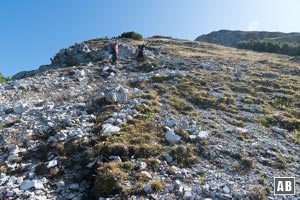 Oberhalb der Latschen startet die finale Passage mit einem gut begehbaren Felssteig