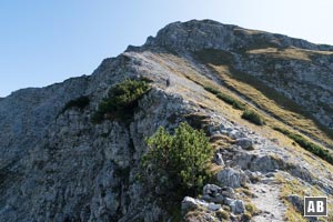 Entlang der Gratkante bis zum Gipfelfelsen vorrücken