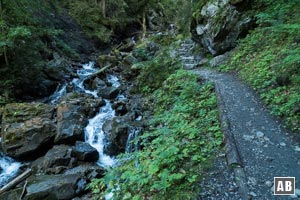 ...und der Gaisalptobelweg verjüngt sich zu einem schmalen Pfad