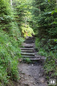 Der anfangs breite Weg verjüngt sich zu einem schmalen, erdigen Steig