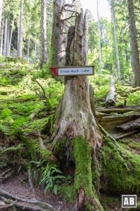 Der Aufstieg ist gut beschildert