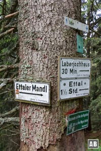 Der Aufstieg mündet in den Mandlweg - der Ziehweg herüber von der Laber-Bergbahn. Hier schwenken wir nach rechts ein.