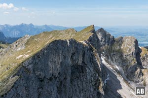 Die Krähe wird über die sanfte Grasflanke von links erreicht