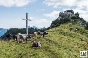 ..grünen Sattel mit Kreuz