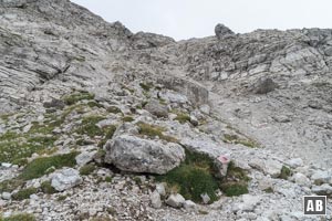 Bergtour Gaishorn: Drehen bald nach links ein, kämpfen uns kraftraubend im zersprengten Fels den dürftigen Spuren empor