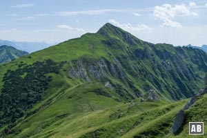 Aussicht auf den gegenüberliegenden Schneid - ein Allgäuer Grasberg wie aus dem Bilderbuch