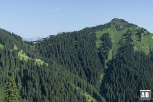 Aussicht auf die Schneetalalm (optionale Einkehr mit zusätzlich 30 Minuten Zeitaufwand) und den Hahnenkamm