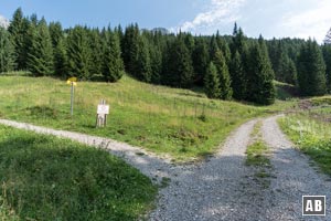 Der Schotterweg zieht über Schleifen empor zu einer Lichtung - und endet als Sackgasse. Vorher wird nach links in ein schmales Weglein abgebogen.