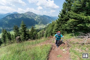 Wir wandern eine Lichtung aufwärts,...