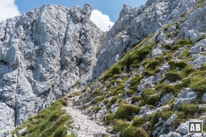 Nun nach rechts die sehr steile, ausgesetzte Westflanke nach oben klettern - immer auf die rote Markierung achten