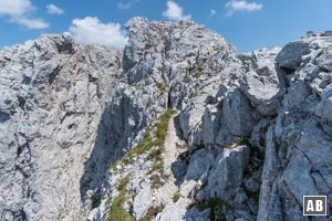 Die letzten Meter auf Steigspuren hoch zum Westgrat