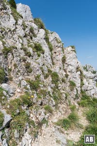 Kurze Kletterstellen (I) sorgen für spannende Momente