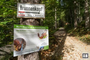 Vom Schloss Linderhof führt der ehemalige königliche Reitweg bis zur Brunnenkopfhütte