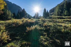 Oberhalb der Hintenbachalm weist uns die Sonne den Weg über eine freie Grünfläche in Richtung Schöntalalm