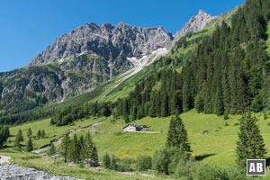 Bernhards Gemstelalpe vor dem Widderstein