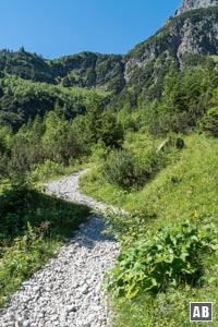 Oberhalb der Hinteren Gemstelalpe wird aus dem einfachen Wanderweg ein gerölliger Bergsteig