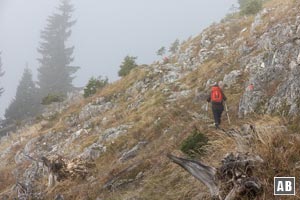 Die Querung unterhalb des Guffertsteins zu der Geröllhalde