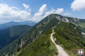 Die Begehung des Grates wird im Verlauf einfacher, das Gelände weniger ausgesetzt. Latschen dominieren das Terrain.