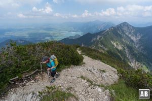 Nach gut 2 Stunden gewinnen wir den Gipfel des Heimgartens durch einen weit ausholenden Linksbogen