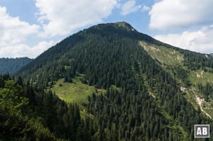 Rückblick aus dem Talweg auf den Heimgarten. Links unten die Ohlstädter Alm zu der wir vorher abgestiegen sind.