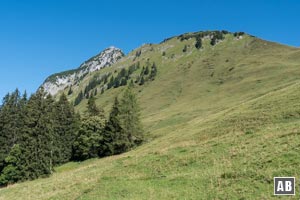 Von rechts ersteigen wir zunächst den Grasbuckel des Kühkranz und steigen dort in den Ostgrat des Hochkranz (im Hintergrund) ein