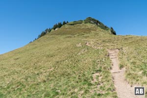 Steiler Anstieg über freies Gelände zum Kühkranz