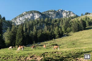 Auf dem Weg zur Kallbrunnalm: Ein erster Blick zum Hochkranz. Durch diese Wand verläuft später der Abstieg.