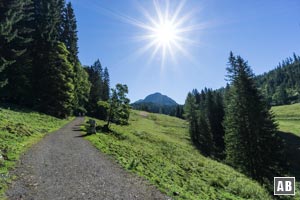 Der idyllische Wanderweg zur Kallbrunnalm