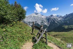 An zwei Stellen müssen wir Weidezäune mittels einer kurzen Leiter übersteigen