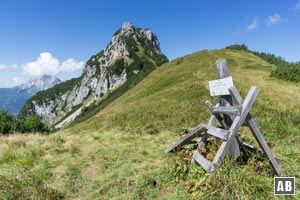 Nach der Drahtseilpassage und einem kurzen Gegenanstieg kommen wir wieder am Kühkranz an. Von hier aus auf dem bekannten Weg zurück zur Kallbrunnalm.