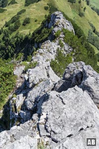 Impressionen aus dem Ostgrat: Rückblick auf den luftigen Grat