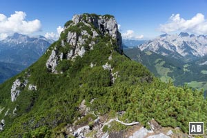 Impressionen aus dem Ostgrat: Das letzte Drittel des Grates beginnt mit einer Gehpassage durch die Latschen