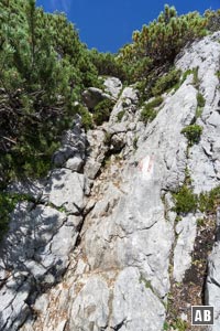 Rückblick auf eine der Kletterstellen die wir auf unserem Weg nach unten meistern müssen