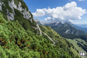 Blick aus dem Steig durch die Südwand des Hochkranz auf den Grasbuckel des Kühkranz (Bildmitte). Dort teffen wir  wieder auf den Weg zurück zur Kallbrunnalm.