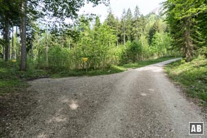 Nach einer Schleife wird die Verzweigung zum Normalweg über Bartlmahd (links) erreicht. Für den Aufstieg via Goldtropfsteig rechts halten und dem Weigweiser <q>Hochstaufen über Steinerne Jäger</q> nachlaufen.