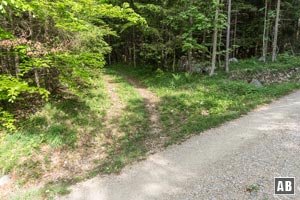 Nach 30 m zweigt nach links ein weiterer, unscheinbarer Forstweg ab.